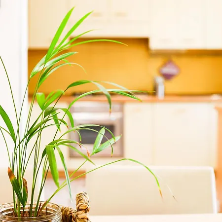 Casa Di Clara - Centralissimo Apartman Gallipoli