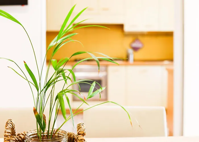 Casa Di Clara - Centralissimo Apartment Gallipoli